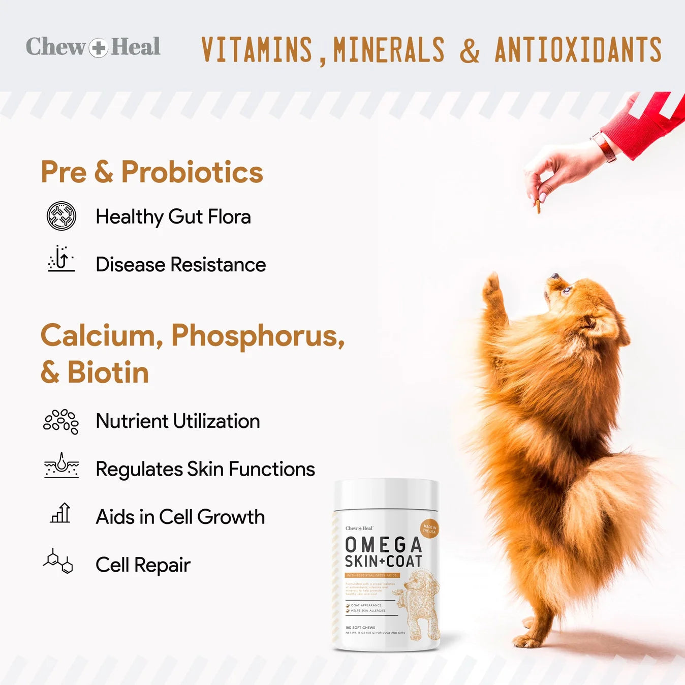 Chew + Heal Omega Skin & Coat Supplement