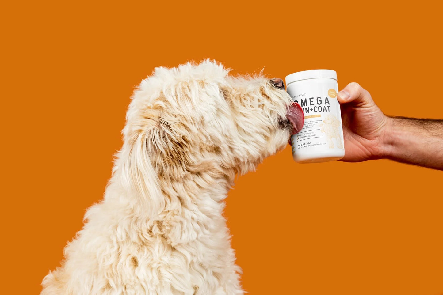 Chew + Heal Omega Skin & Coat Supplement